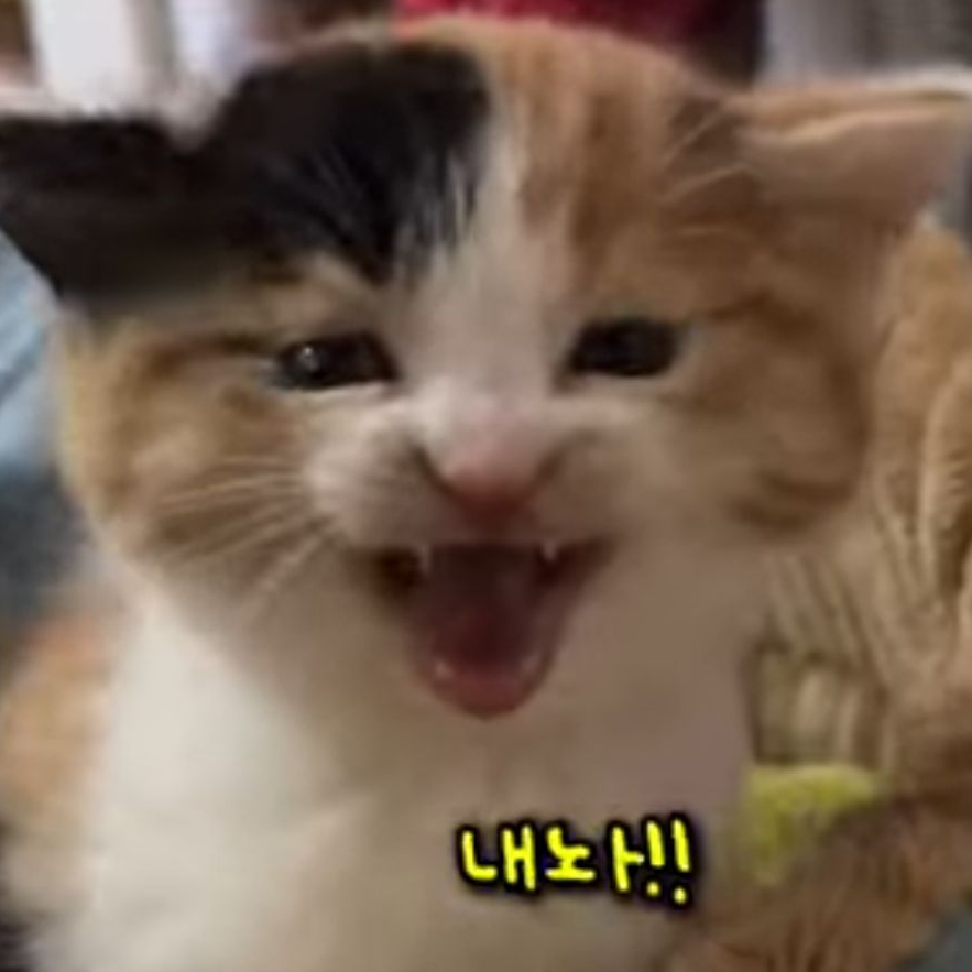 여우가 내 남친을 뺐는다? 대표 이미지