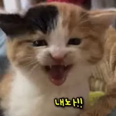 Profile image of 여우리