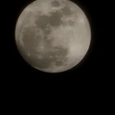 Profile image of _댄디_