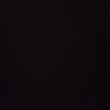 Profile image of 장나영