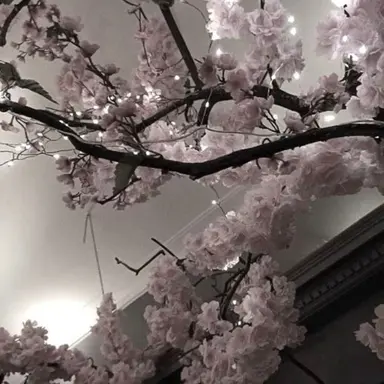 Profile image of 101