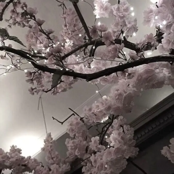 FickleSofa4356의 ︎ ︎ ︎