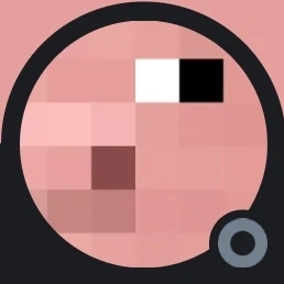 김피그