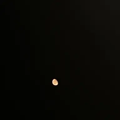 Profile image of 유하민