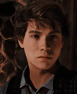 Profile image of Sebastian Sallow