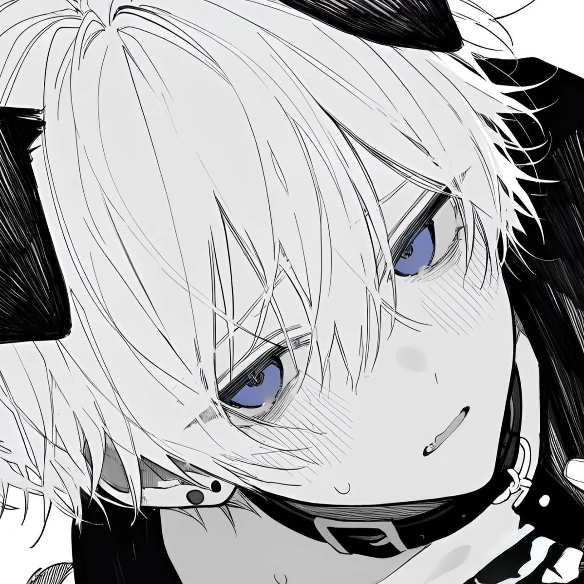 シロ