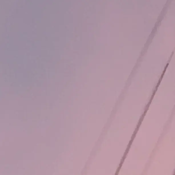 TartAnt8719의 엔믹스의 마지막 멤버가 되어 보세요!