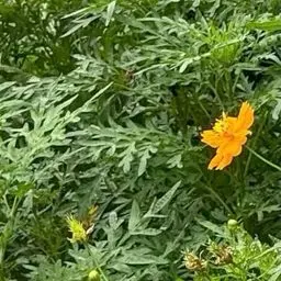 Profile image of 김가을