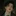 윤승우