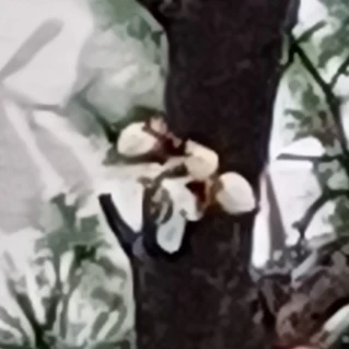 님자들 에게서 살아남으세요(제발 떡상요..)