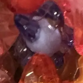 Profile image of 深澤辰哉