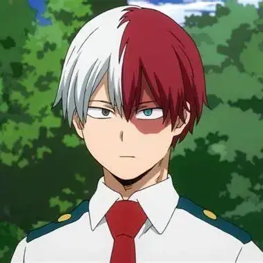 Profile image of Shoto Todoroki