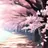 桜雲