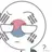 남한 (대한민국)