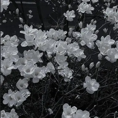 Profile image of 감제이