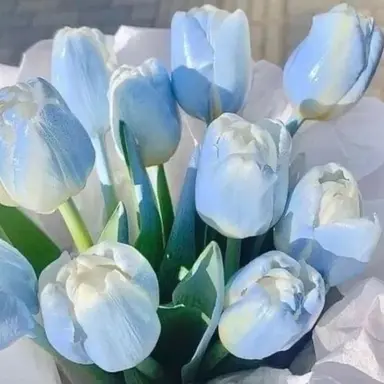 Profile image of 연이