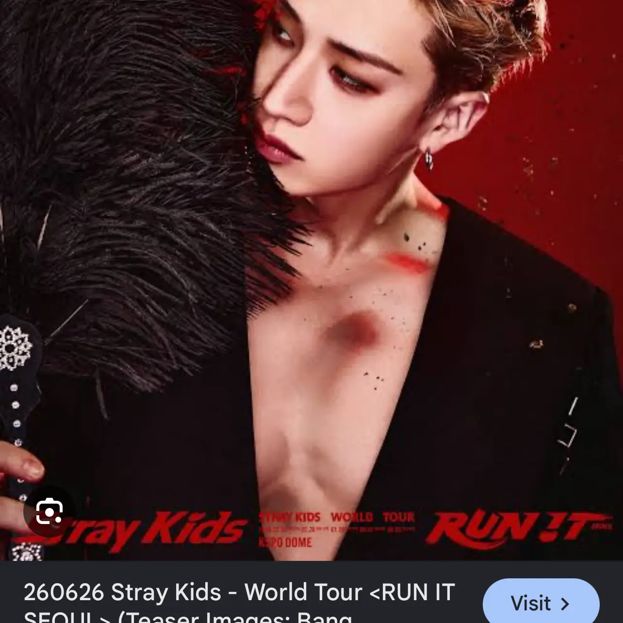 RuggedChef3059의 Straykids kidnappers