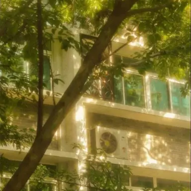 Profile image of 네온
