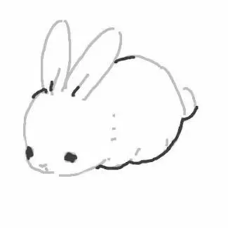 Profile image of 미모