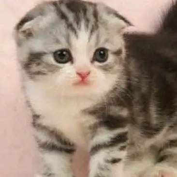 Profile image of 이민호