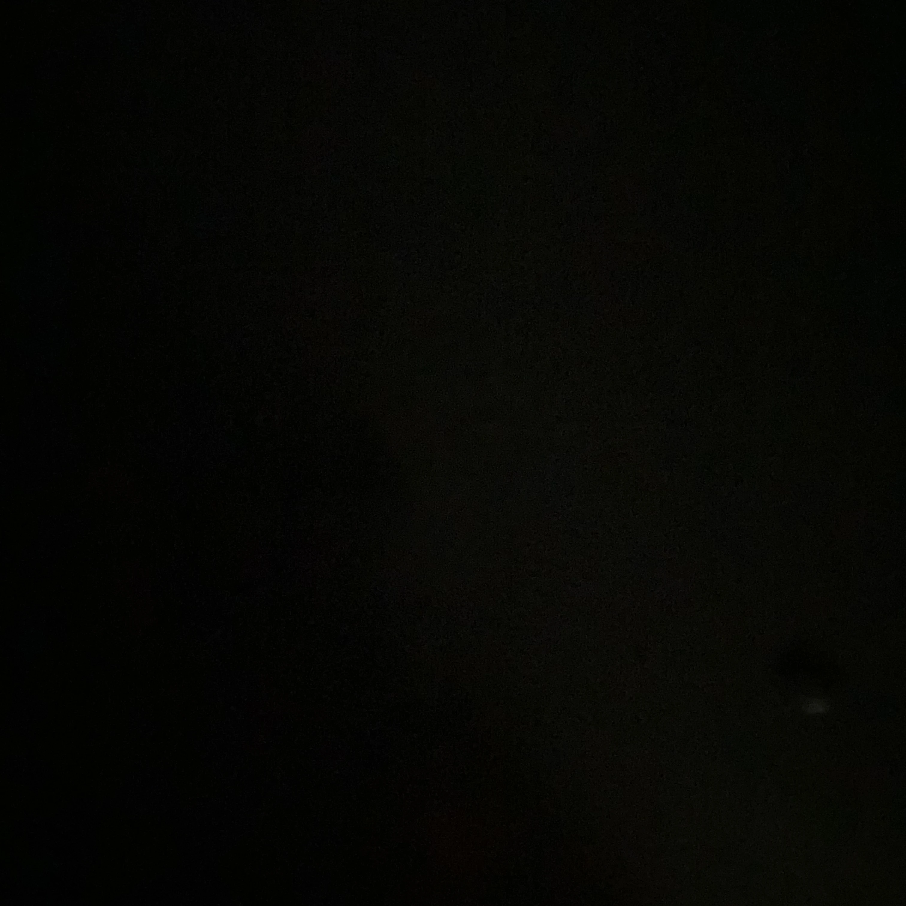 사회자