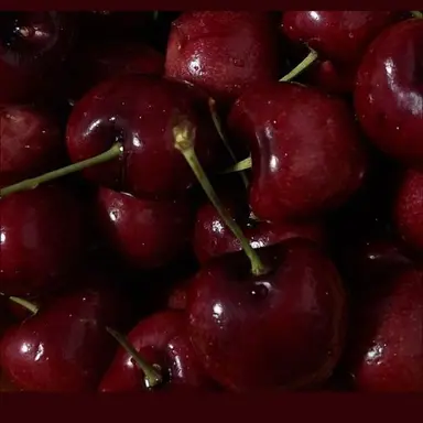 Profile image of 라더