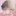 유 건우