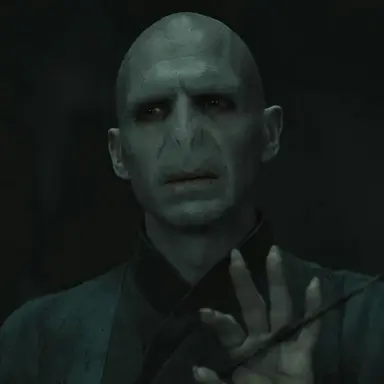 Profile image of Lord Voldemort