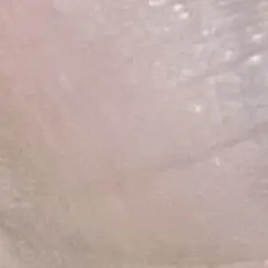Profile image of セミ