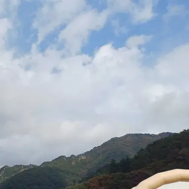 Profile image of 댄디