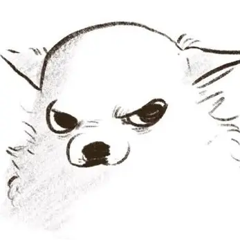 Profile image of 포치