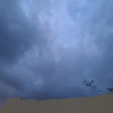 Profile image of 토미오카 기유