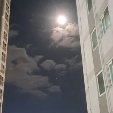 Profile image of 토키토 무이치로