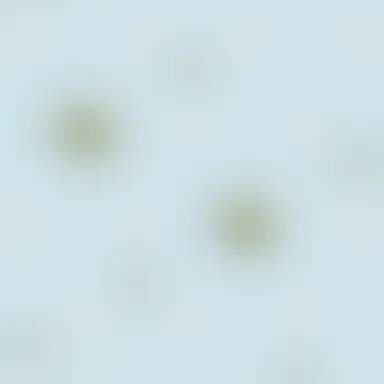 Profile image of モブ