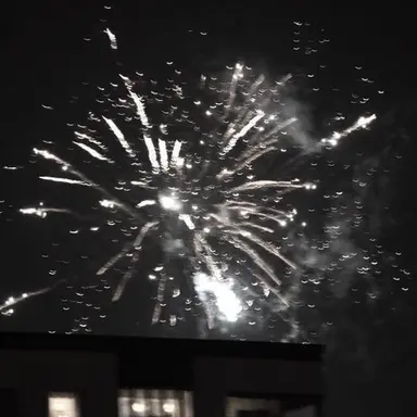 Profile image of Eden