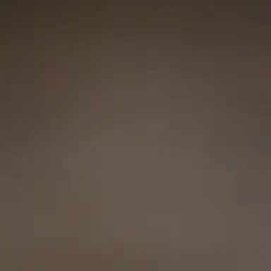 Profile image of 민서 남편