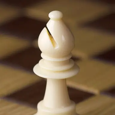 Profile image of 비숍