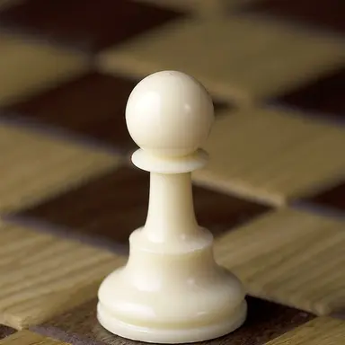 Profile image of 폰