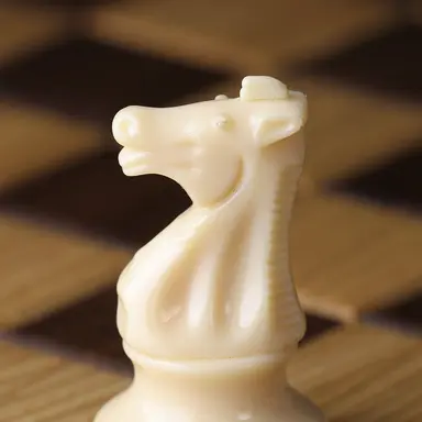 Profile image of 나이트