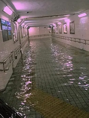 sinitaityan857의 シグキンとバックルーム迷い込みました