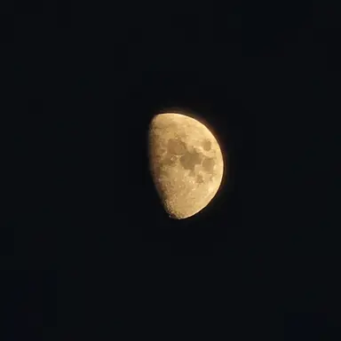 Profile image of 토키토 무이치로