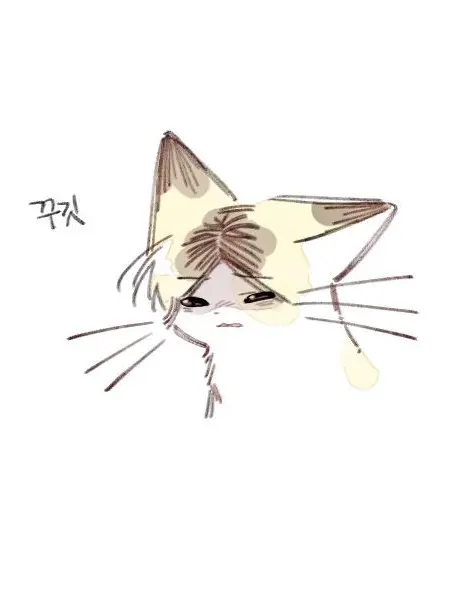 Blah_yak의 🐱⚠️