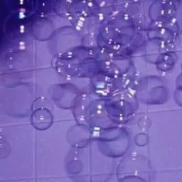 Honney_bear의 황수현