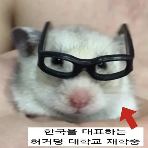 SavoryPuli8604의 너니머쥴
