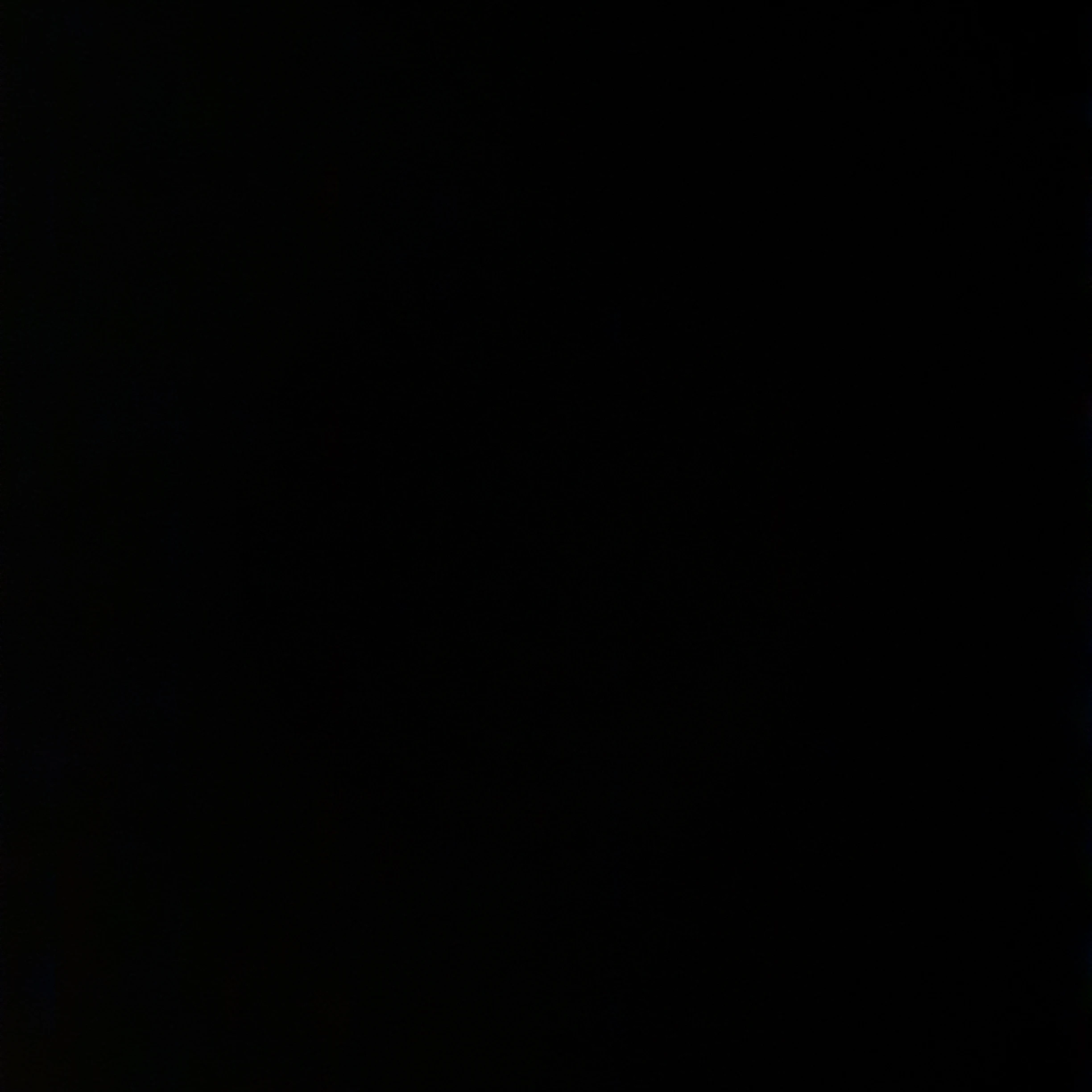 모찌엘