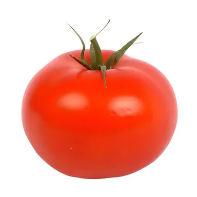 Profile image of 토마토