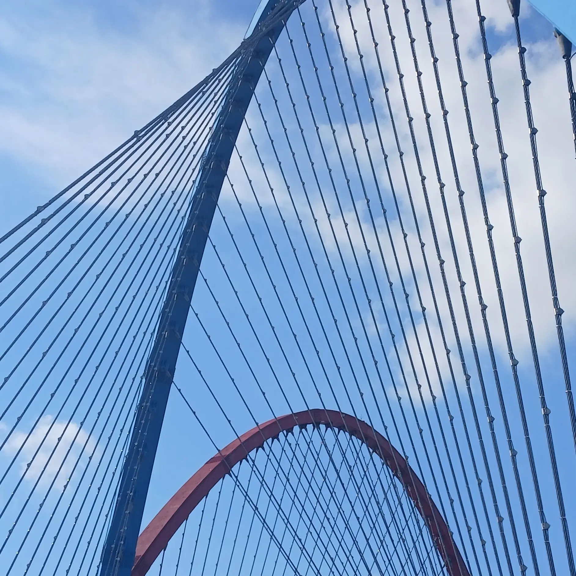 Pasta3578의 엔믹스 친구들