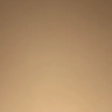 Profile image of 古明地こいし