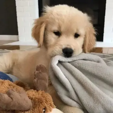 Profile image of 준서