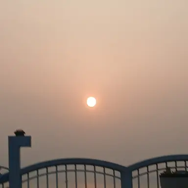 Profile image of 주선재